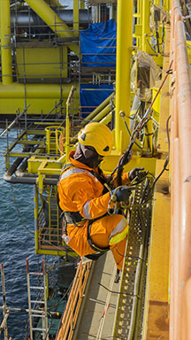 Reflector Winter Jacket 